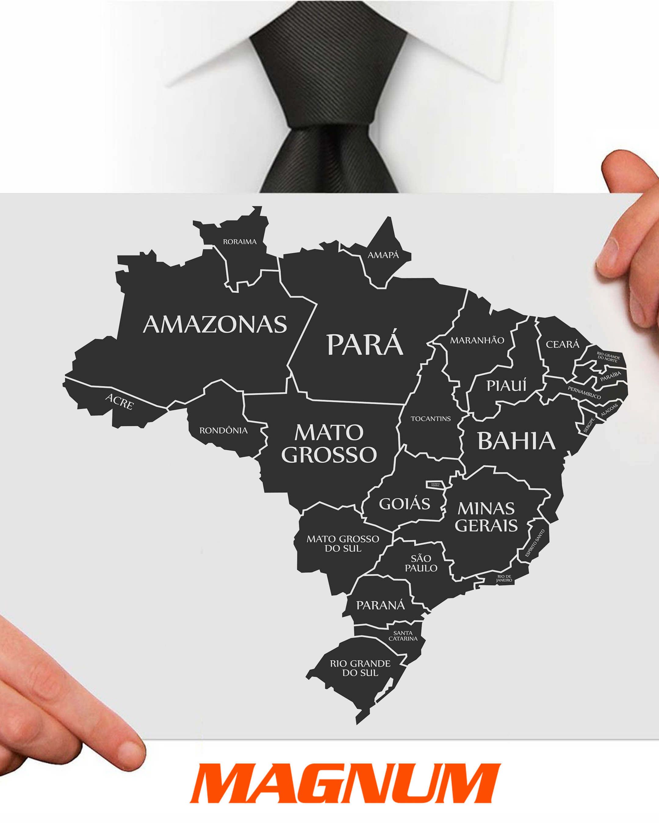 Assistência Técnica Magnum Alto Falantes