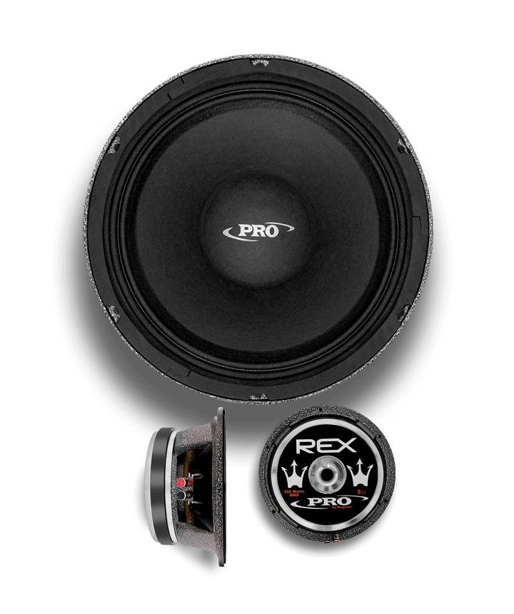 Woofer Rex Pró 10 polegadas 500w 