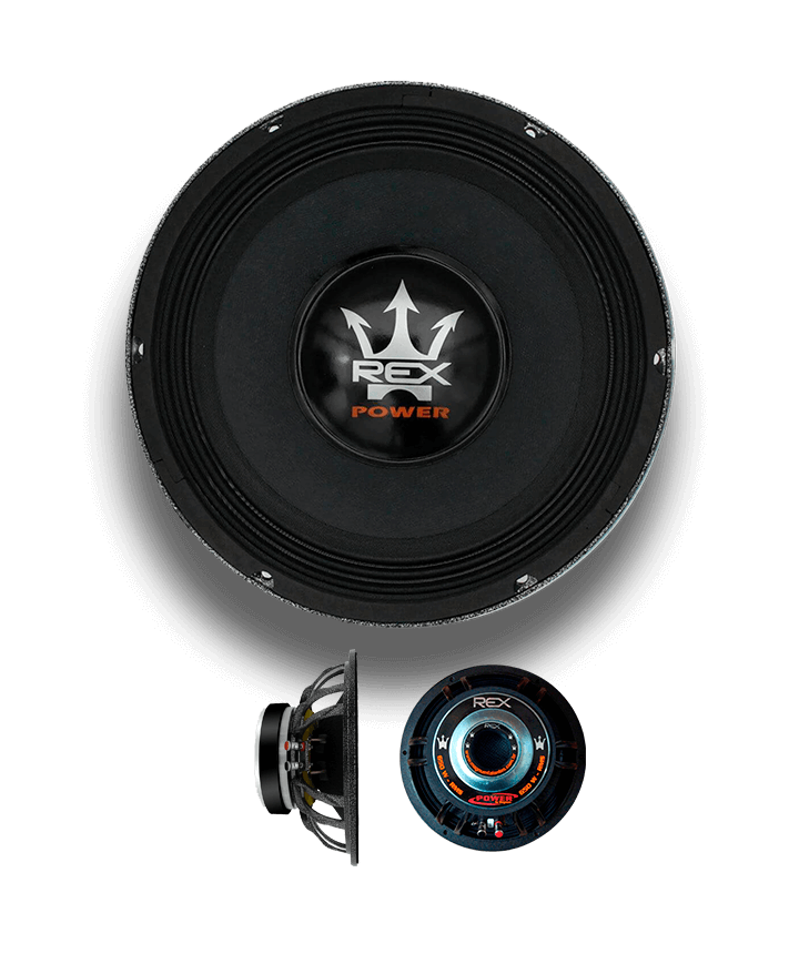 Alto Falante Woofer Magnum Rex Power 12 Polegadas 650W RMS 4 Ohms Bobina Simples
