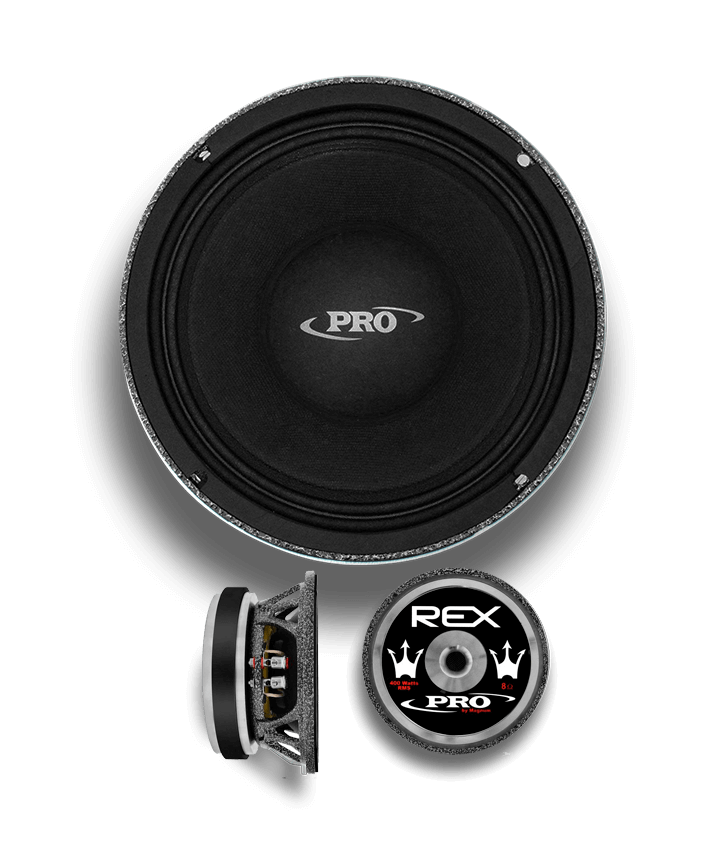 Alto Falante Woofer Magnum Rex Power 12 Polegadas 650W RMS 4 Ohms Bobina Simples