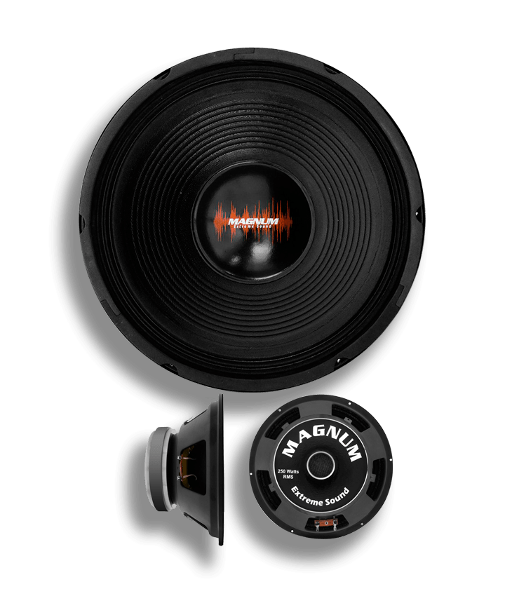 woofer magnum profissional  8 Polegadas 350W RMS 