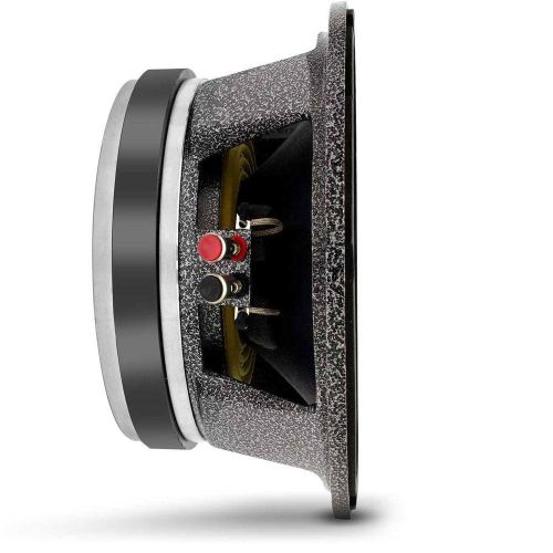 Woofer Rex Pró 10 polegadas 500w 