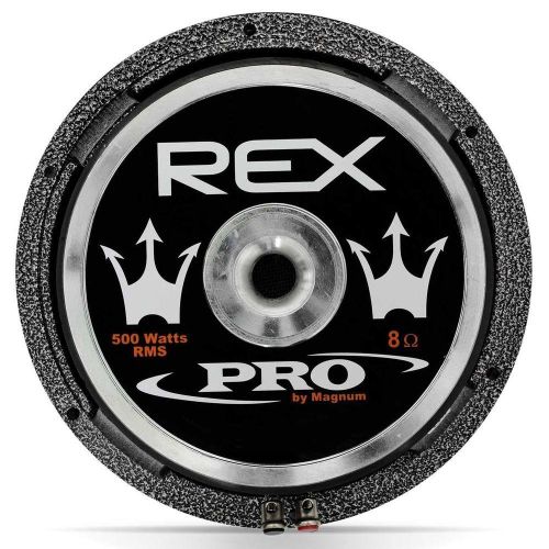 Woofer Rex Pró 10 polegadas 500w 