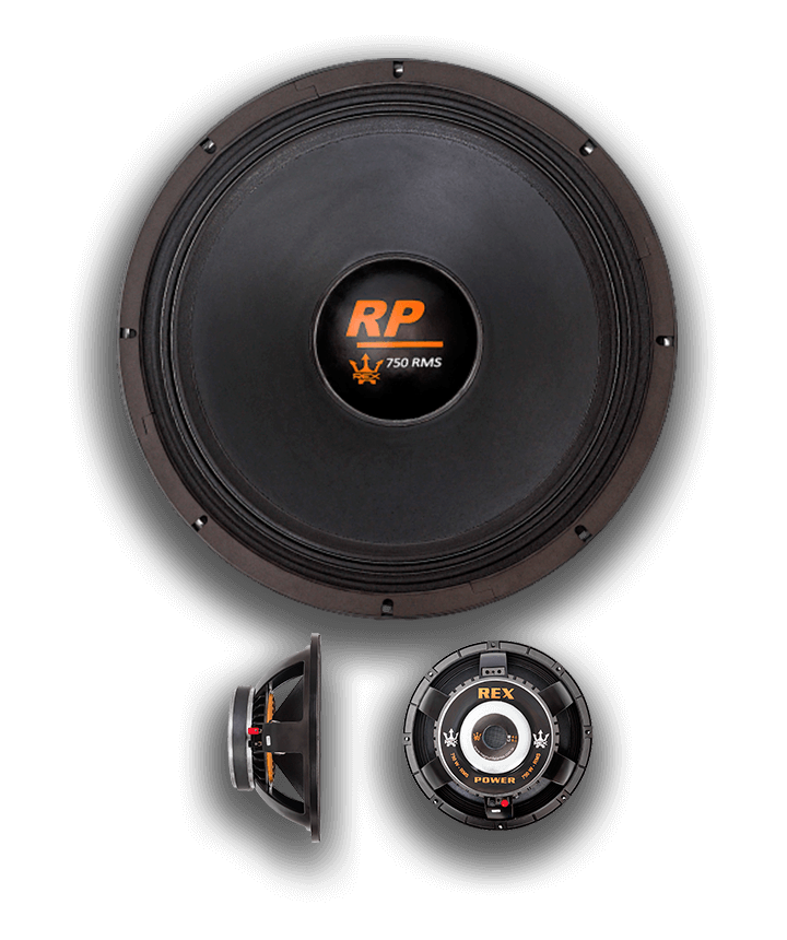 Alto Falante Woofer Magnum Rex Power 12 Polegadas 650W RMS 4 Ohms Bobina Simples